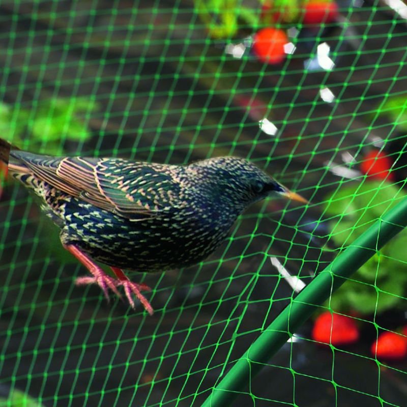 Malla antipájaro protegiendo cultivo de frutas