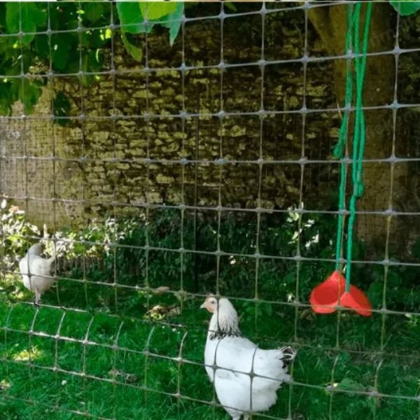 Malla Gallinero Barranquilla