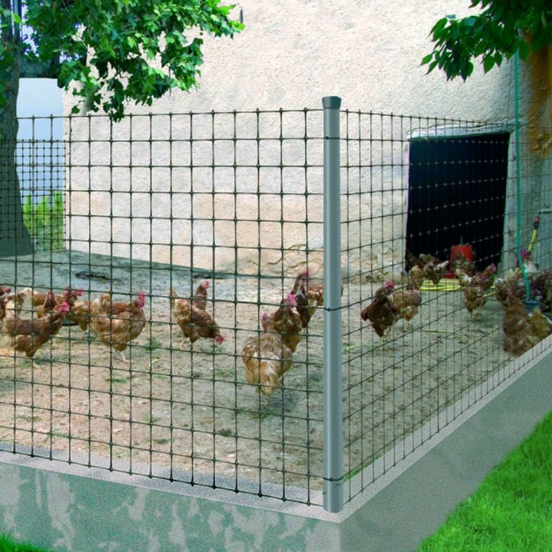 Malla gallinero en cerramiento de granja