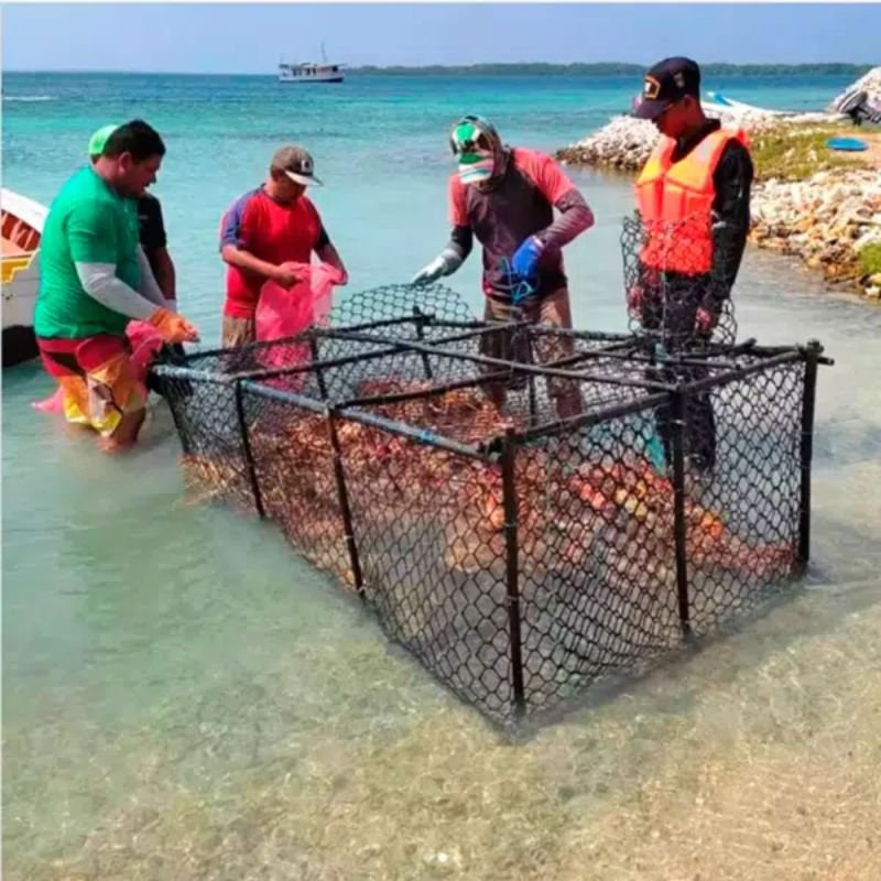 Malla nasa para trampas de pesca