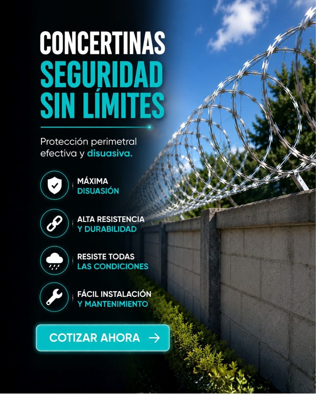 Conalmallas — Concertinas